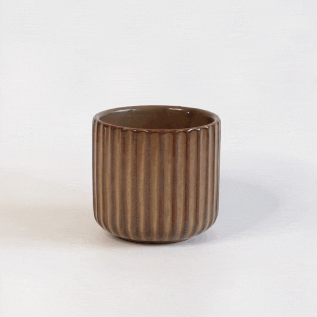 Summer Candle: Indonesian Forest Retreat Candle