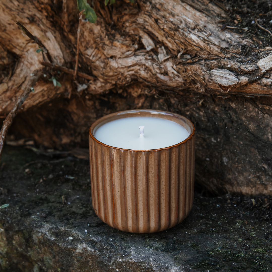 Summer Candle: Indonesian Forest Retreat Candle